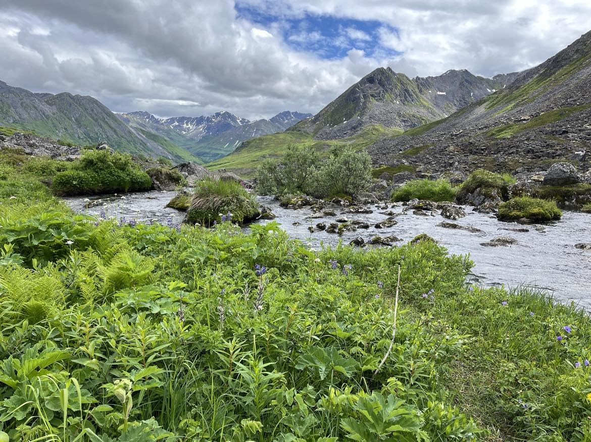 Backcountry Blue Pools Adventure Hike