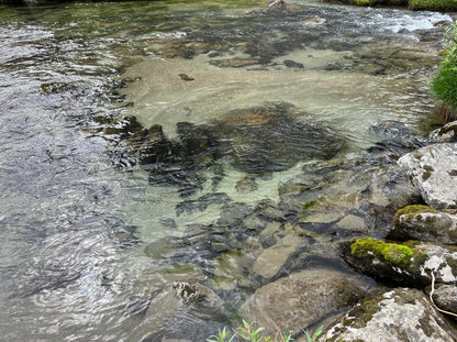 Backcountry Blue Pools Adventure Hike