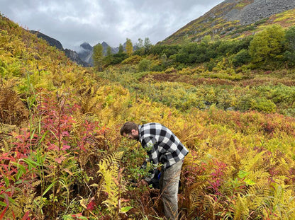 U-Pick Wild Berry Picking